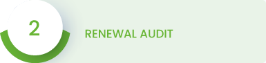 renewal audit